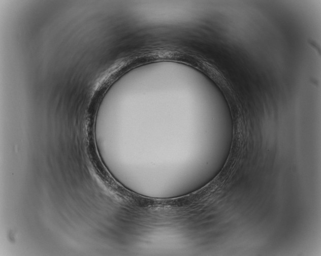 X0000101680730200807101144