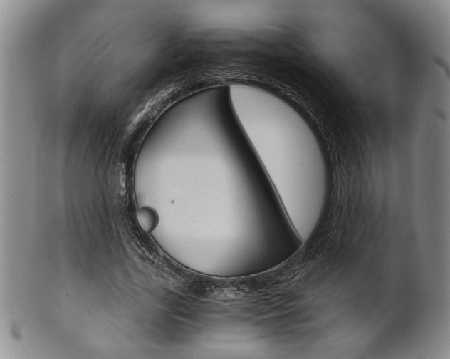 X0000101680731200807101144
