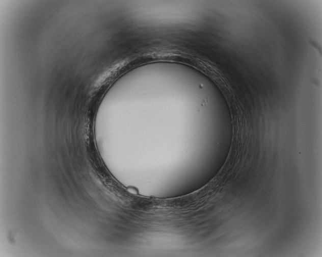 X0000101680732200807101144