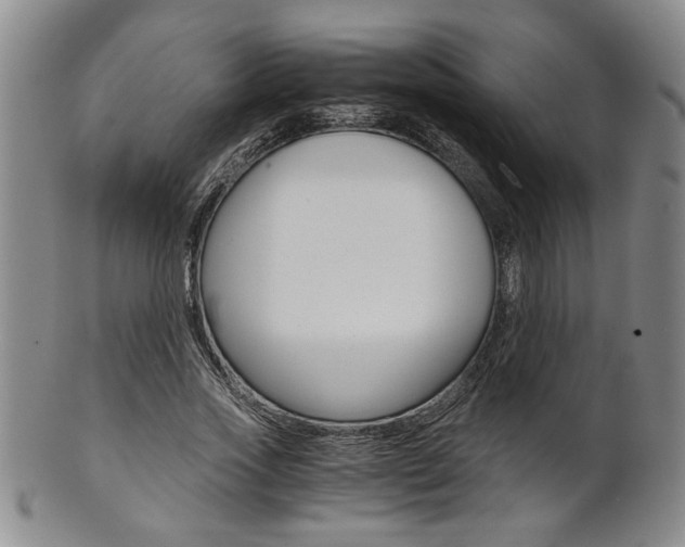 X0000101680733200807101144