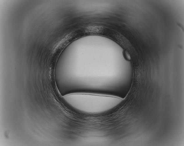 X0000101680735200807101144