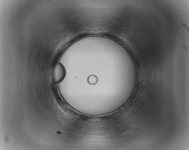 X0000101680736200807101144