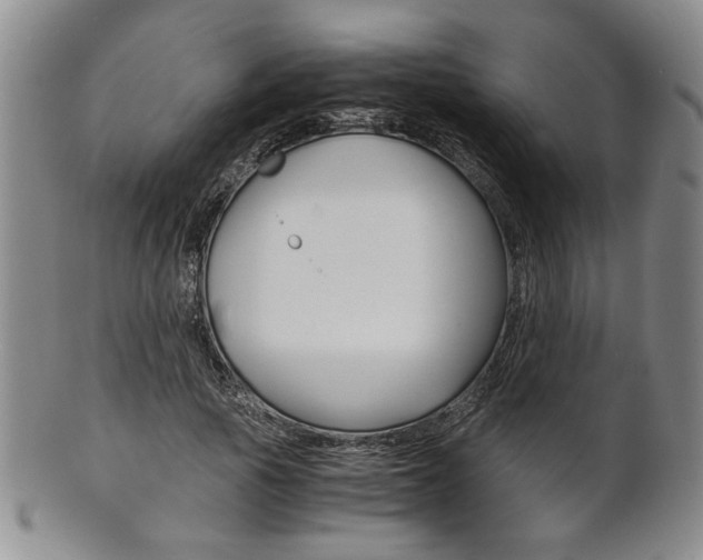 X0000101680737200807101144