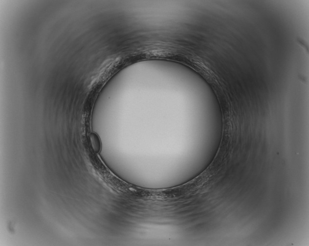 X0000101680738200807101144