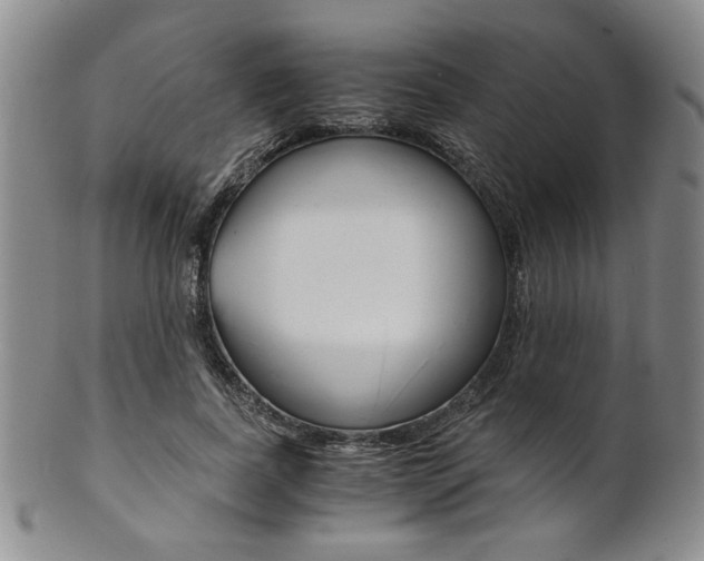 X0000101680739200807101144