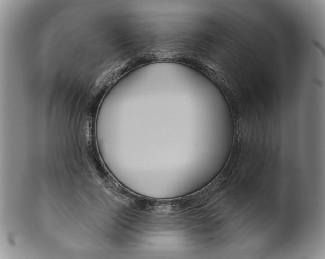 X0000101680740200807101144