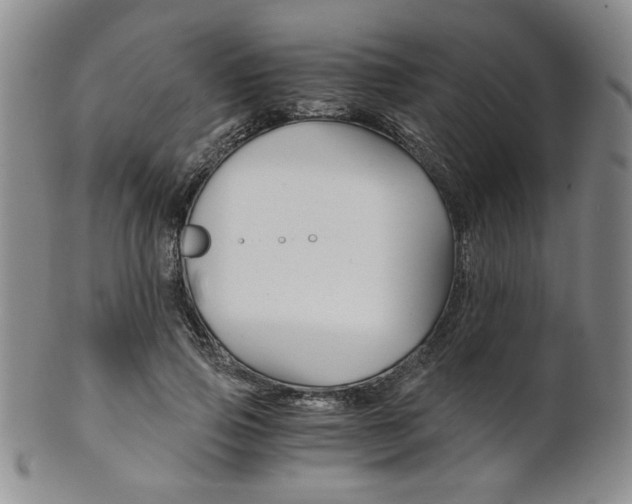 X0000101680741200807101144