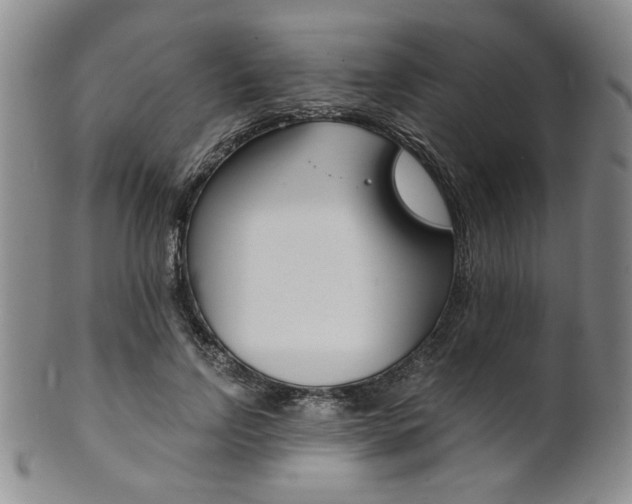 X0000101680742200807101144