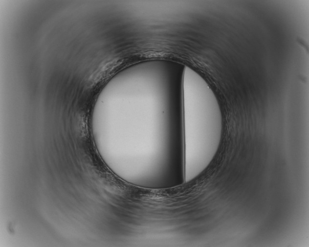 X0000101680743200807101144