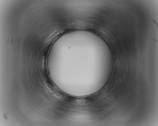 X0000101680744200807101144