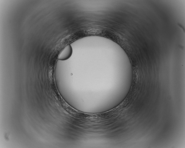 X0000101680745200807101144