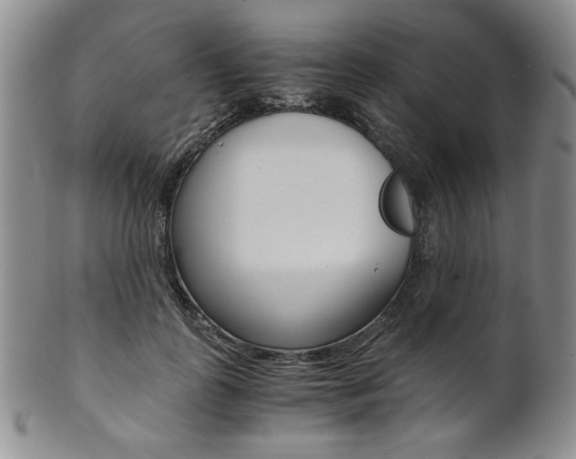 X0000101680747200807101144