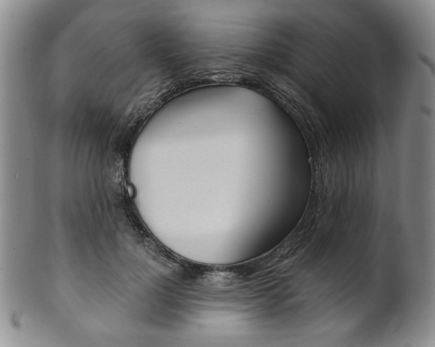 X0000101680748200807101144