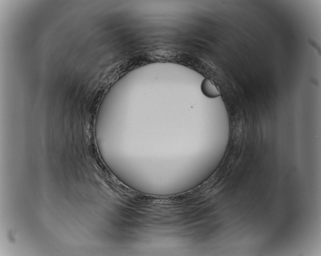 X0000101680749200807101144