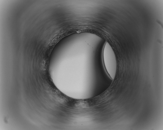 X0000101680750200807101144