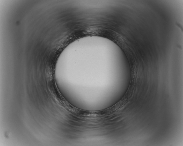 X0000101680751200807101144