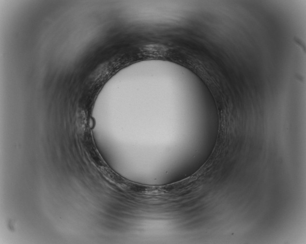X0000101680752200807101144