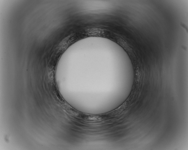 X0000101680753200807101144