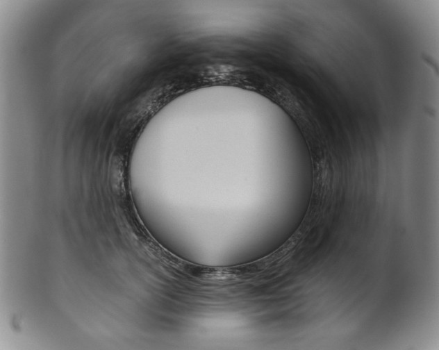 X0000101680754200807101144