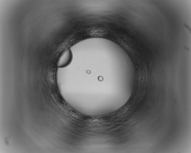 X0000101680755200807101144
