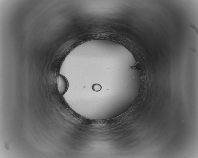 X0000101680756200807101144
