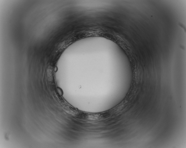 X0000101680757200807101144