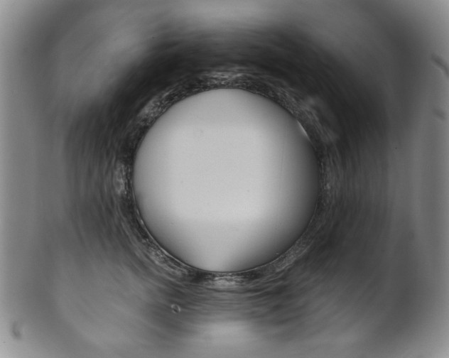 X0000101680758200807101144