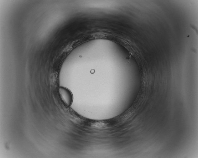 X0000101680759200807101144