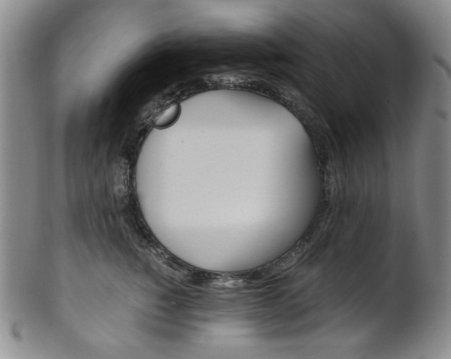 X0000101680760200807101144