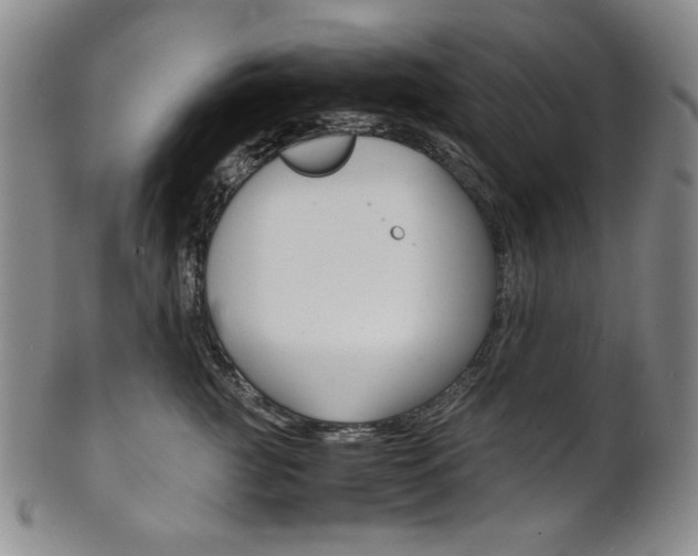 X0000101680761200807101144