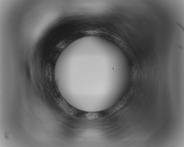 X0000101680762200807101144