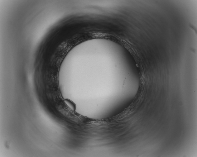 X0000101680763200807101144
