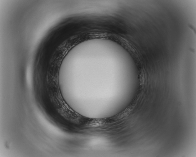 X0000101680764200807101144