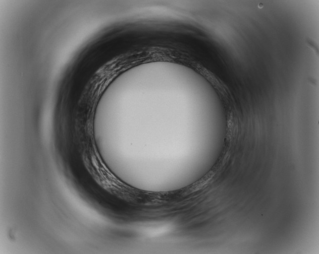 X0000101680765200807101144