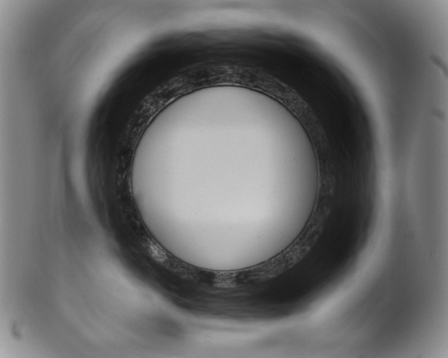 X0000101680766200807101144
