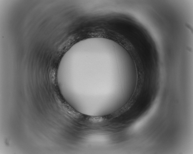 X0000101680767200807101144