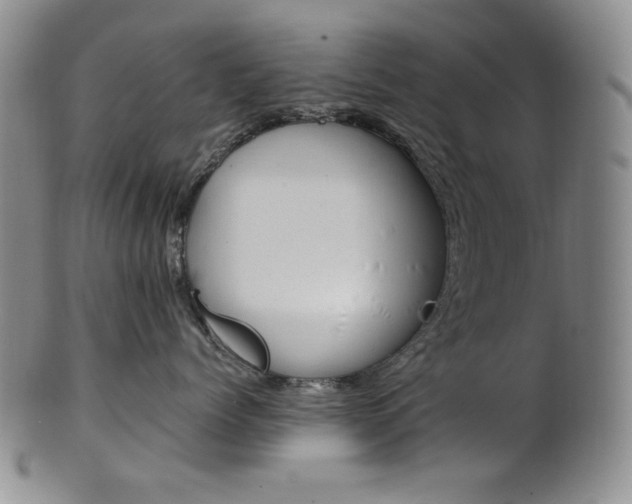 X0000101680768200807101144