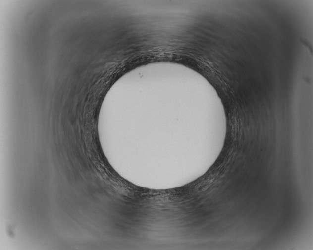 X0000101680769200807101144