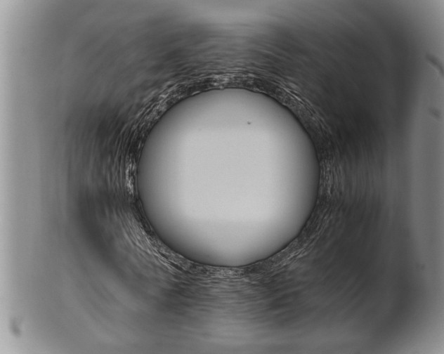 X0000101680770200807101144