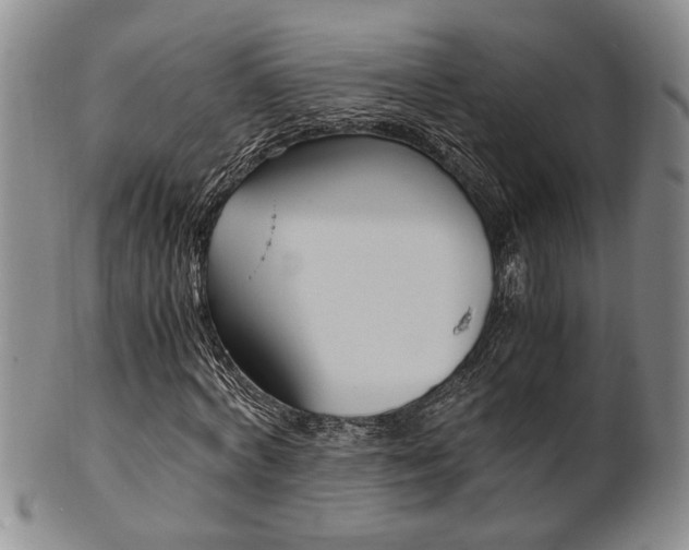X0000101680772200807101144