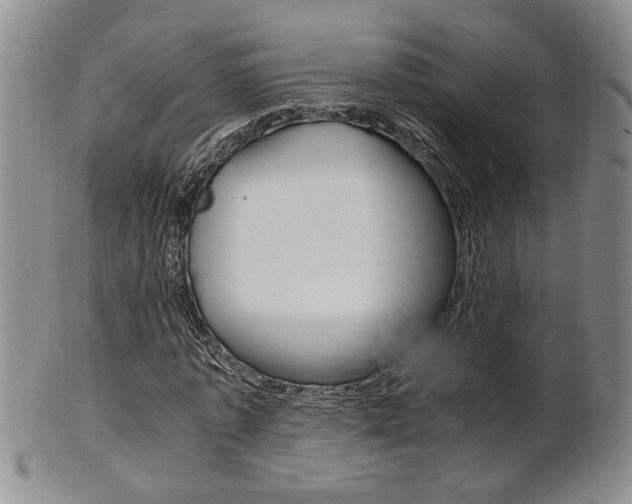 X0000101680773200807101143