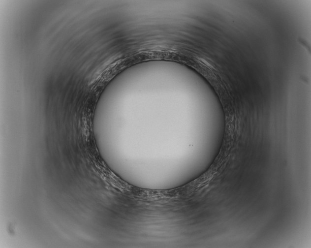 X0000101680774200807101143