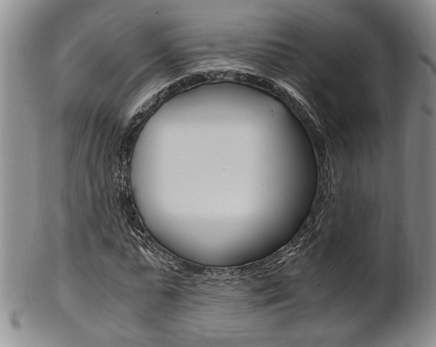 X0000101680775200807101143