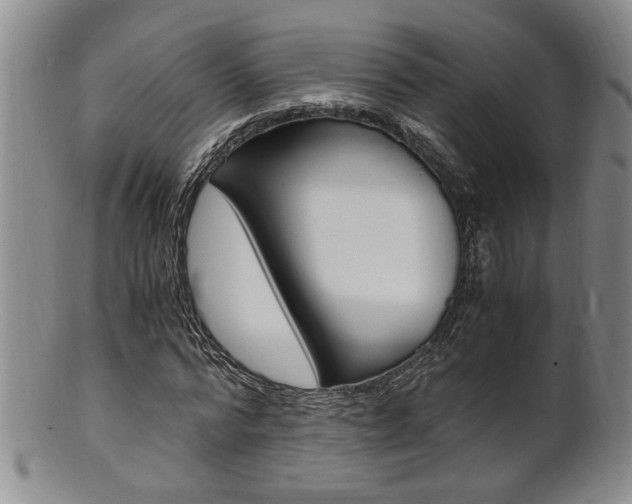 X0000101680776200807101143
