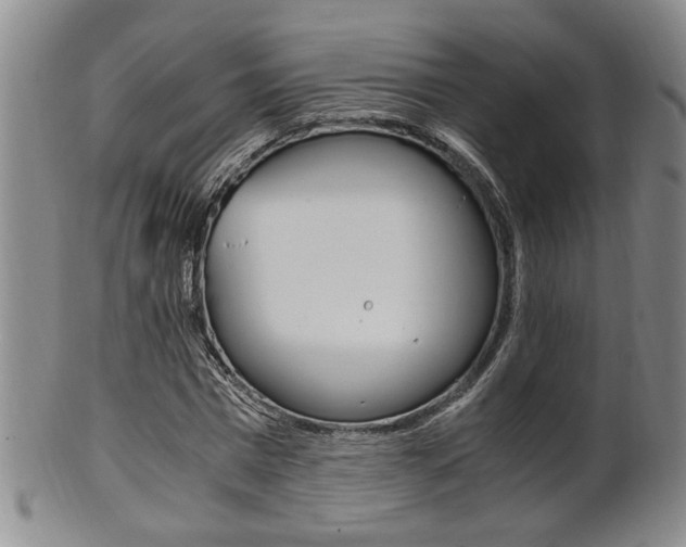 X0000101680777200807101143