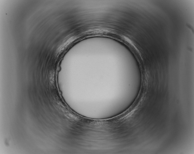 X0000101680778200807101143
