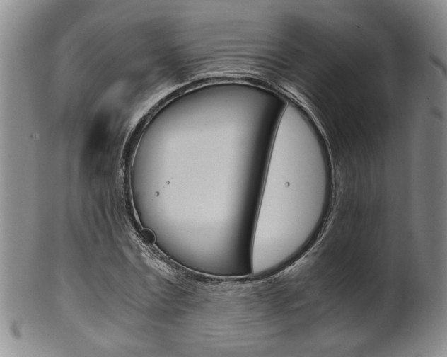 X0000101680779200807101143