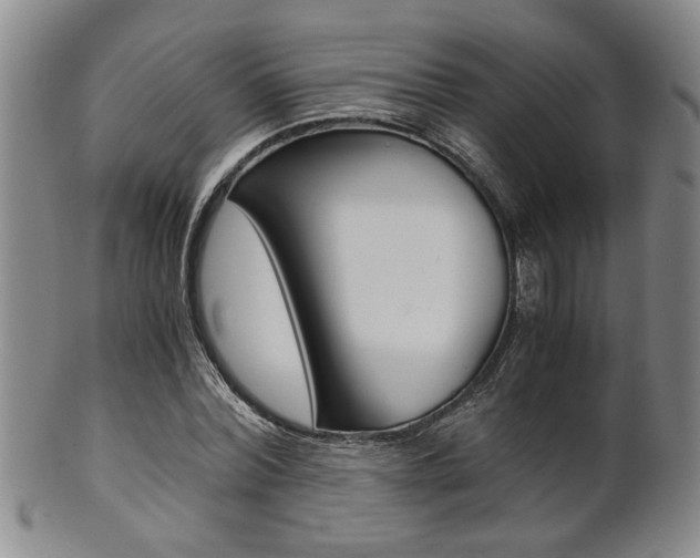 X0000101680780200807101143
