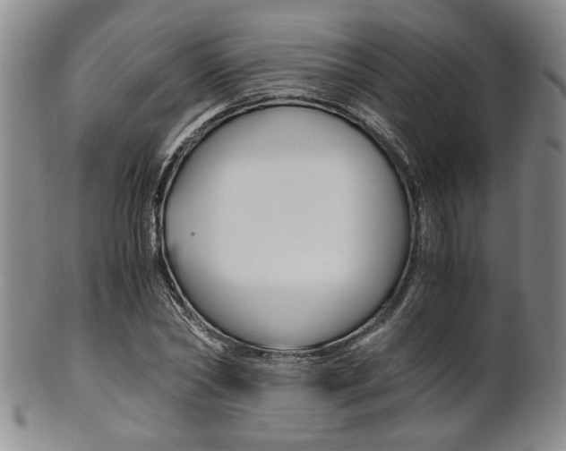 X0000101680782200807101143