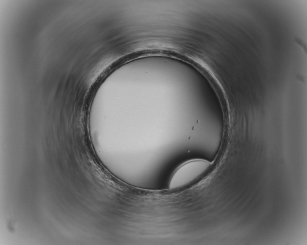 X0000101680783200807101143